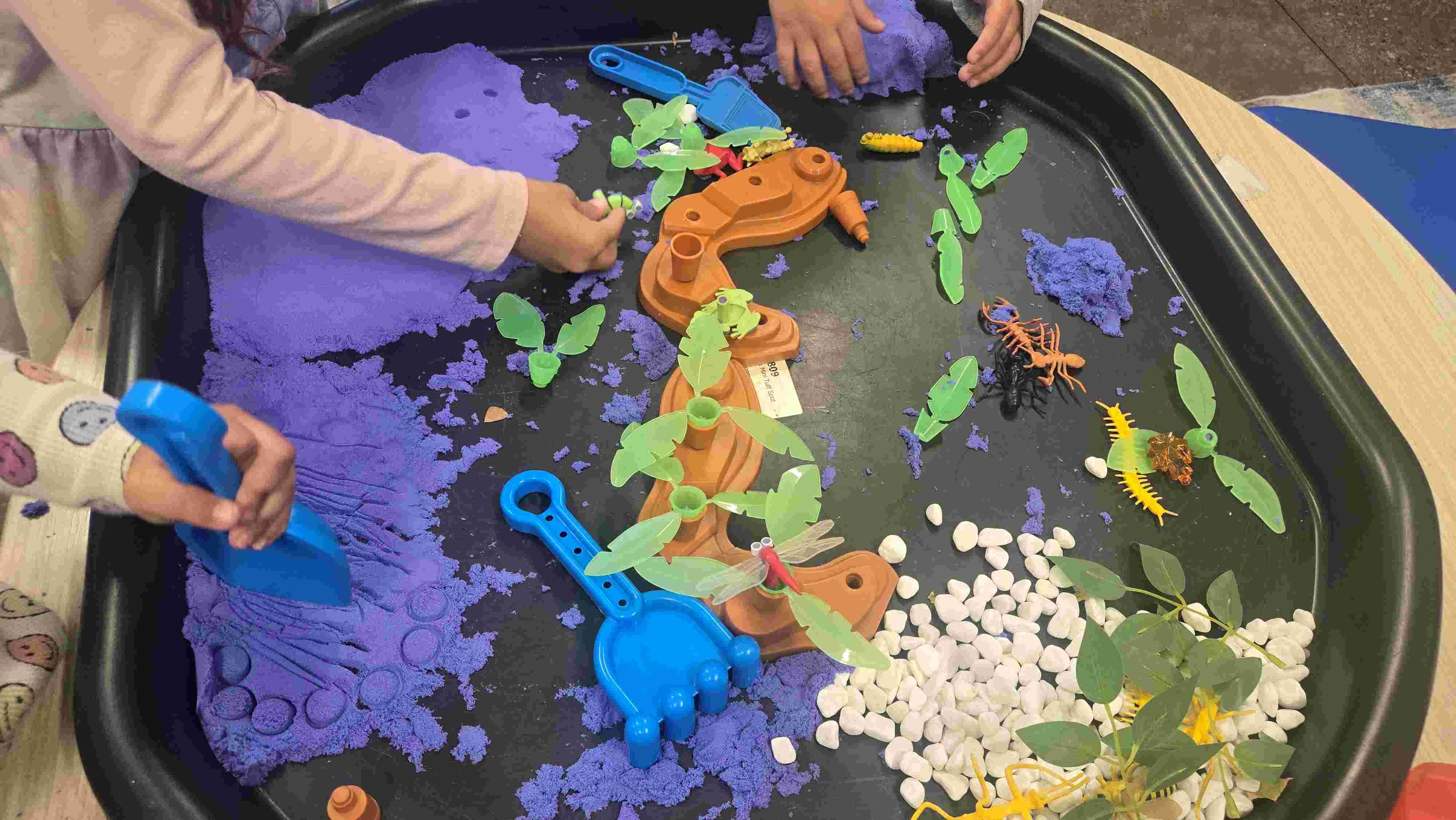 Treasure Seeds moment