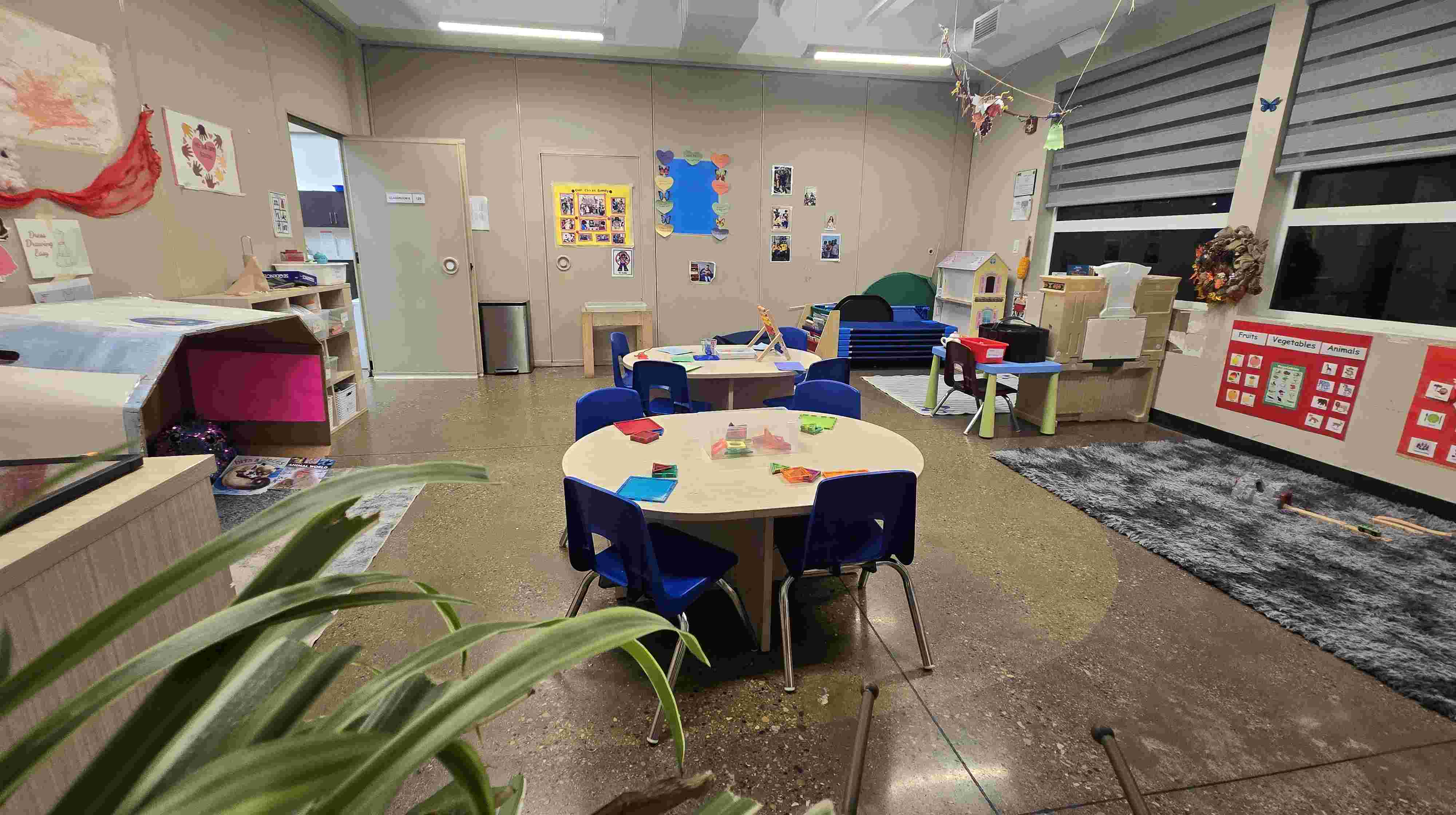 Treasure Seeds moment